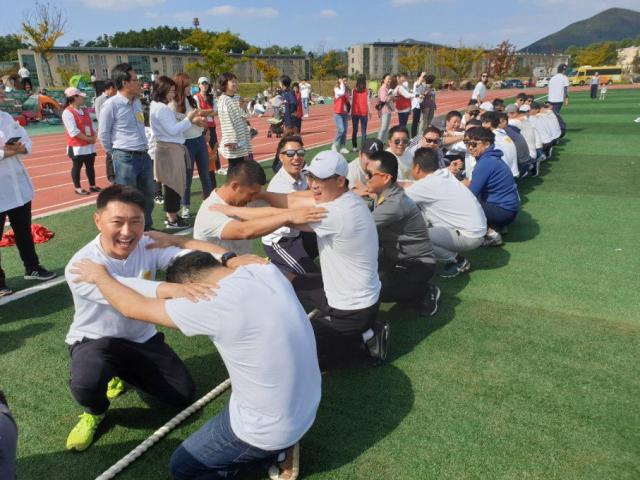 체육대회 줄다리기 현장